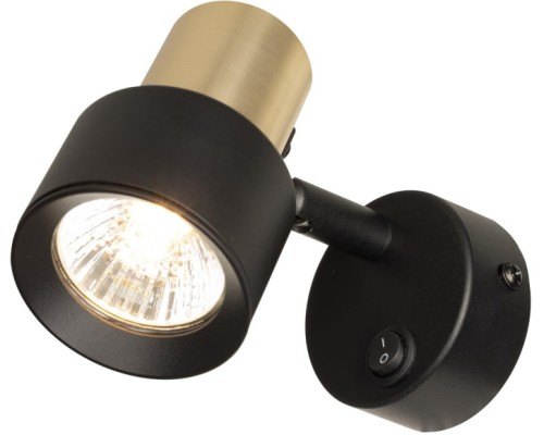 Спот Sat CL505611 Citilux