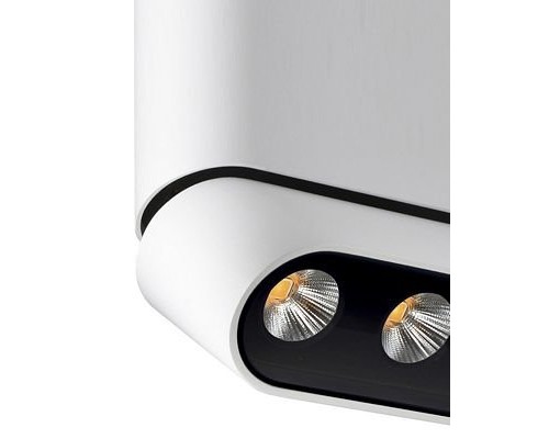 Спот Фергус 8005/3CL-WT-BK Lumien Hall