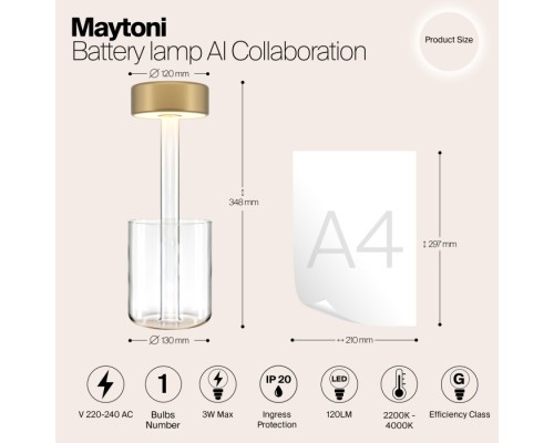 Интерьерная настольная лампа AI Collaboration MOD229TL-L3G3K1 Maytoni