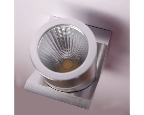 Светильник настенный GW SPRUT GW-A213-6-SL-WW DesignLed Светильник настенный GW SPRUT GW-A213-6-SL-WW DesignLed