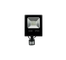 Прожектор светодиодный SMD FL-SMD-30-CW-S SWG