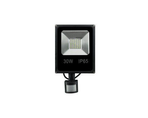 Прожектор светодиодный SMD FL-SMD-30-CW-S SWG