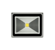 Прожектор светодиодный COB FL-COB-30-CW SWG