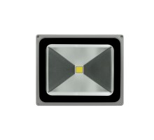 Прожектор светодиодный COB FL-COB-50-CW SWG