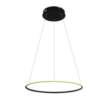 Подвесной светильник Rapid A2500SP-1BK Arte Lamp