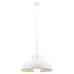 Подвесной светильник Martin A5213SP-1WG Arte Lamp