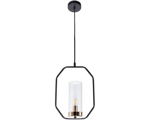 Подвесной светильник Celaeno A7004SP-1BK Arte Lamp Подвесной светильник Celaeno A7004SP-1BK Arte Lamp