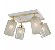 Спот Прима CL160142 Citilux