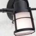 Спот Реймс CL563521 Citilux