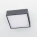 Потолочный светильник Тао CL712K122 Citilux