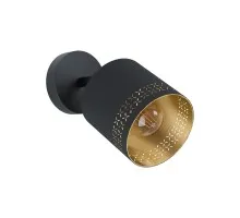 Спот Esteperra 99276 Eglo