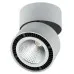 Спот FORTE MURO 213839 Lightstar
