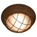 Потолочный светильник Huntsville GRLSP-8068 Loft