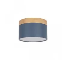 Точечный светильник Grape 10162 Blue Loft It