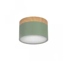 Точечный светильник Grape 10162 Green Loft It