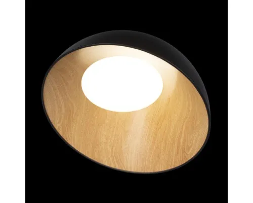 Потолочный светильник Egg 10197/500 Black Loft It Потолочный светильник Egg 10197/500 Black Loft It