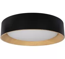 Потолочный светильник Coin 10202 Black Loft It