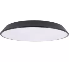 Потолочный светильник Brim 10226 Black Loft It