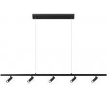Подвесной светильник Sign 10260/5 Black Loft It