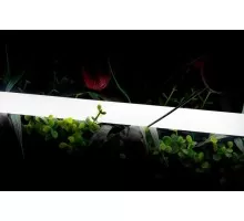 Гибкий неон 360 SWG-2360-24-WW-66 SWG