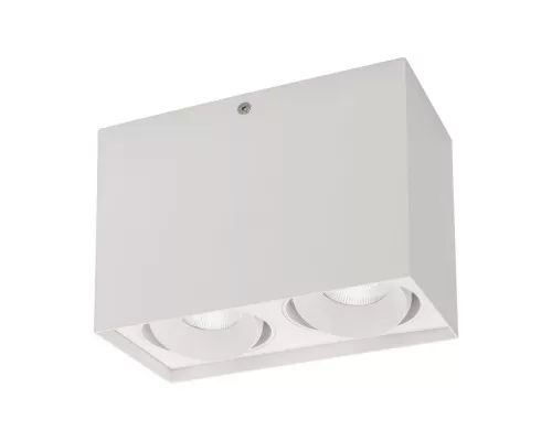 Светильник SP-CUBUS-S100x200-2x11W Day4000 (WH, 40 deg, 230V) 023083(2) Arlight